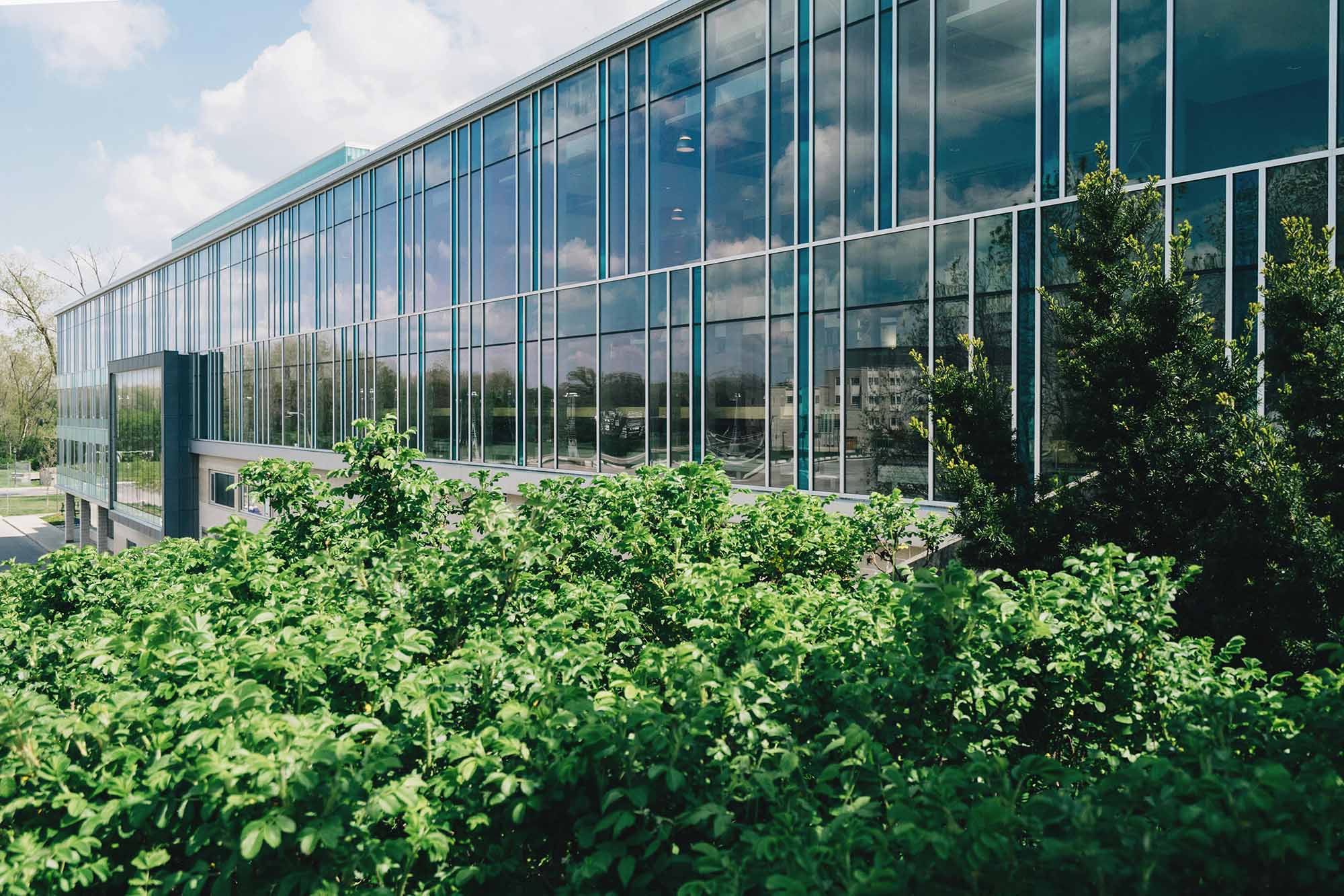 exterior of building with large windows